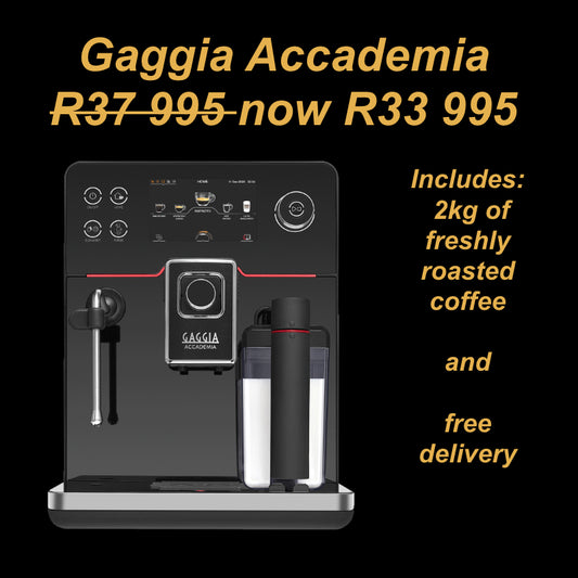 Gaggia Accademia