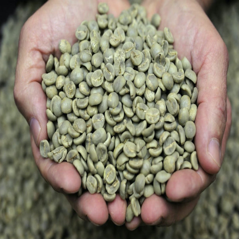 Green Coffee Beans-Brazil Santos