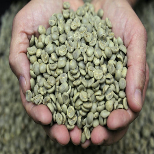 Uganda Bugisu Green Coffee Beans